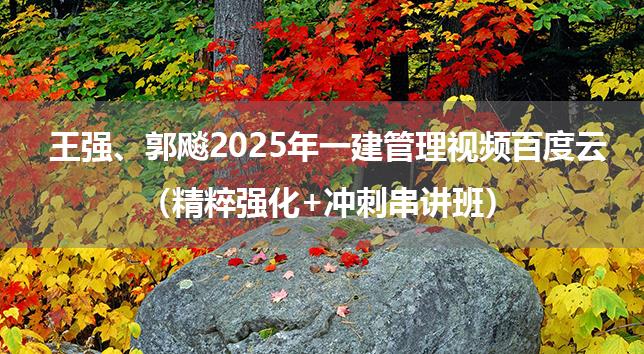 王强、郭飚2025年一建管理网课视频百度云（精粹强化+冲刺串讲班）