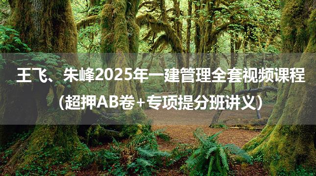 王飞、朱峰2025年一建管理全套视频课程（超押AB卷+专项提分班讲义）