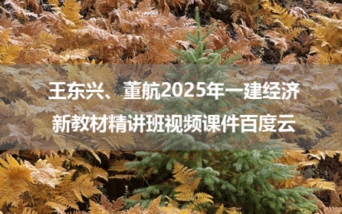 王东兴、董航2025年一建经济新教材精讲班视频课件百度云