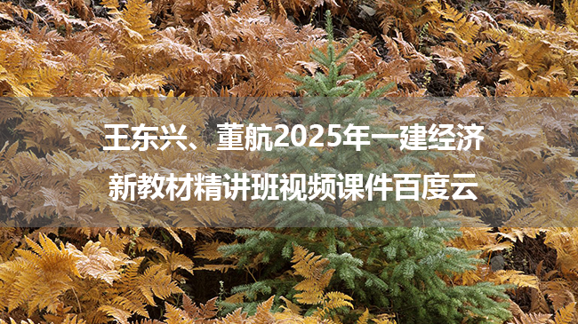 王东兴、董航2025年一建经济新教材精讲班视频课件百度云