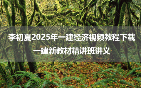 李初夏2025年一建经济视频教程下载_一建新教材精讲班讲义