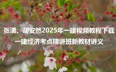 张湧、胡安然2025年一建视频教程下载_一建经济考点精讲班新教材讲义