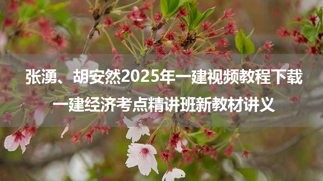 张湧、胡安然2025年一建视频教程下载_一建经济考点精讲班新教材讲义