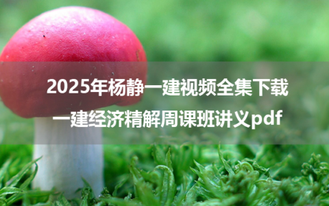 2025年杨静一建视频全集下载_一建经济精解周课班讲义pdf