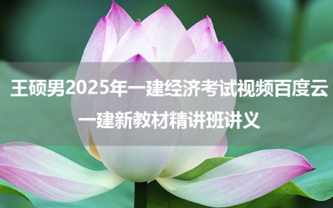 王硕男2025年一建经济考试视频百度云_一建新教材精讲班讲义