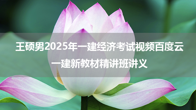 王硕男2025年一建经济考试视频百度云_一建新教材精讲班讲义