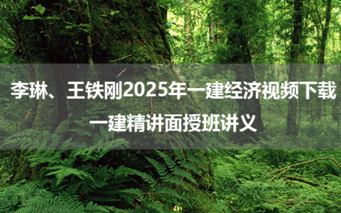 李琳、王铁刚2025年一建经济视频下载_一建精讲面授班讲义