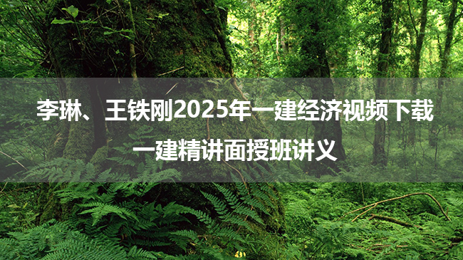 李琳、王铁刚2025年一建经济视频下载_一建精讲面授班讲义