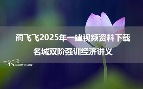 蔺飞飞2025年一建视频资料下载_名城双阶强训经济讲义