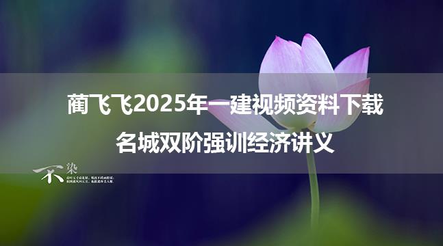 蔺飞飞2025年一建视频资料下载_名城双阶强训经济讲义