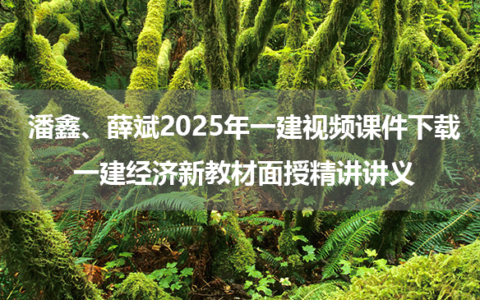 潘鑫、薛斌2025年一建视频课件下载_一建经济新教材面授精讲讲义