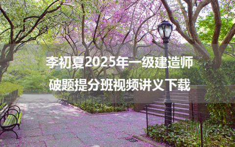 李初夏2025年一级建造师破题提分班视频讲义下载（附：五年真题解析班）