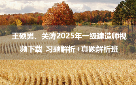 王硕男、关涛2025年一级建造师视频下载_习题解析+真题解析班