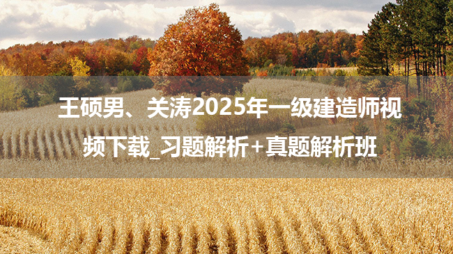 王硕男、关涛2025年一级建造师视频下载_习题解析+真题解析班