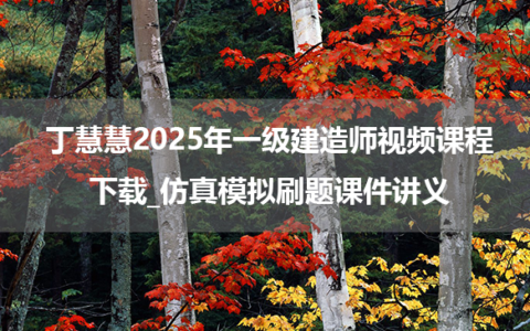丁慧慧2025年一级建造师视频课程下载_仿真模拟刷题课件讲义