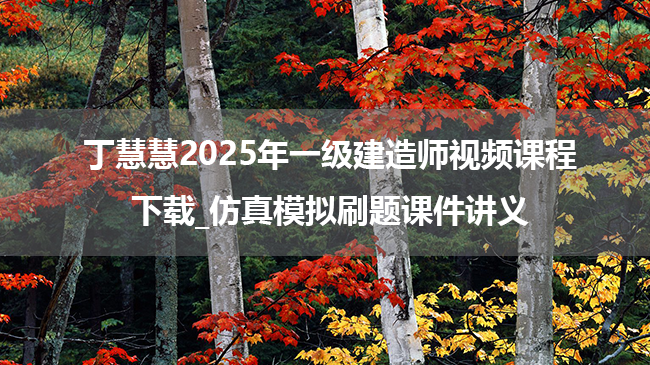 丁慧慧2025年一级建造师视频课程下载_仿真模拟刷题课件讲义