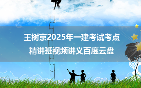 王树京2025年一建考试考点精讲班视频讲义百度云盘