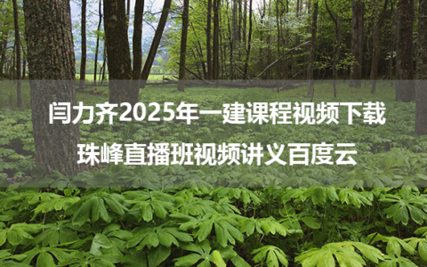 闫力齐2025年一建课程视频珠峰直播班视频讲义百度云下载