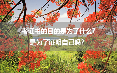 考证书的目的是为了什么?是为了证明自己吗？