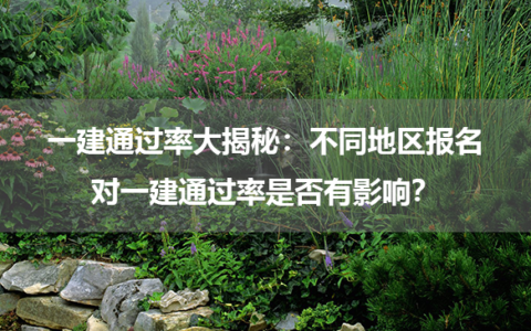 一建通过率大揭秘：不同地区报名对一建通过率是否有影响？