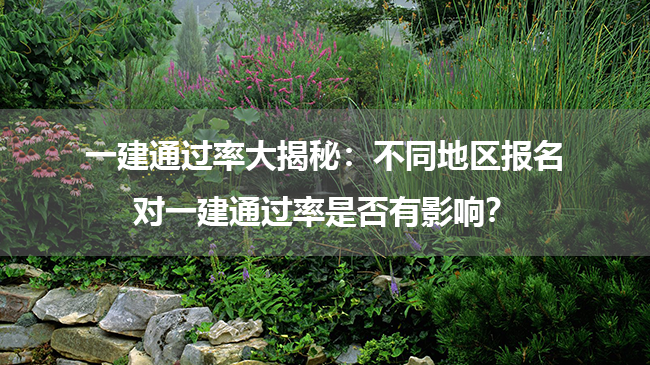 一建通过率大揭秘：不同地区报名对一建通过率是否有影响？