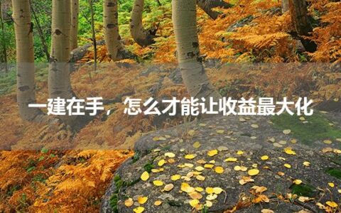 一建在手，怎么才能让收益最大化