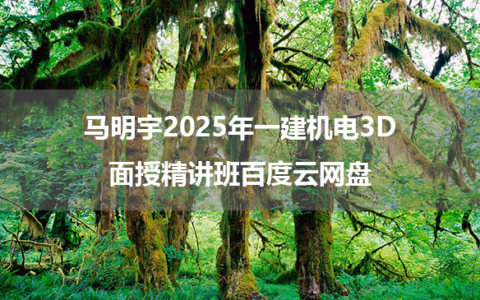 马明宇2025年一建机电3D面授精讲班课件百度云网盘