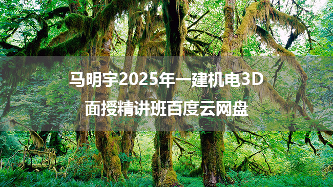 马明宇2025年一建机电3D面授精讲班课件百度云网盘