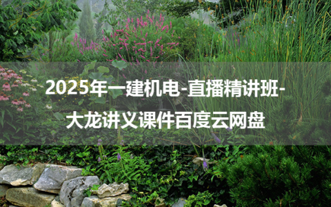 2025年一建机电-直播精讲班-大龙讲义课件百度云网盘