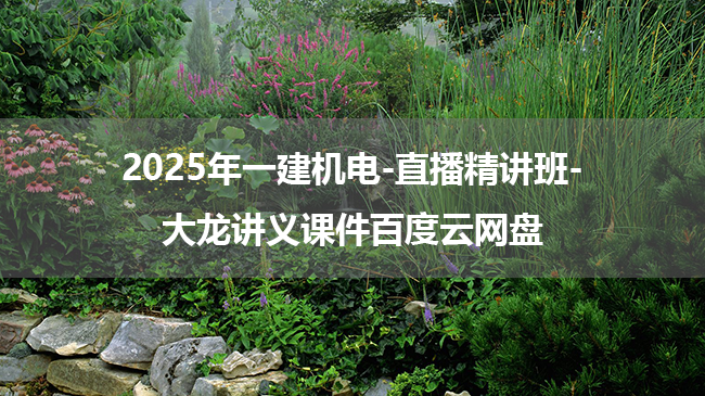 2025年一建机电-直播精讲班-大龙讲义课件百度云网盘