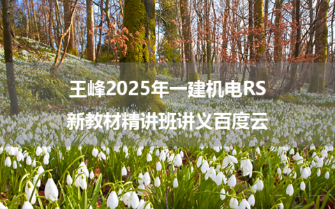 王峰2025年一建机电RS新教材精讲班课件讲义百度云