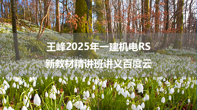 王峰2025年一建机电RS新教材精讲班讲义百度云