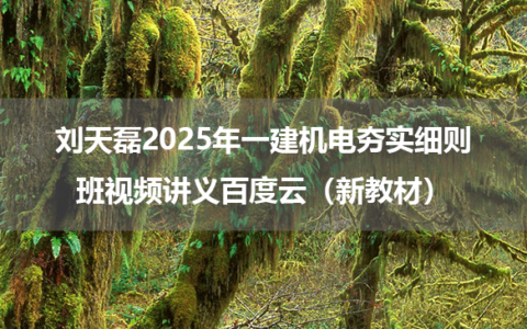 刘天磊2025年一建机电夯实细则班视频讲义百度云（新教材）