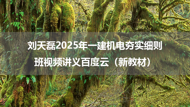 刘天磊2025年一建机电夯实细则班视频讲义百度云（新教材）