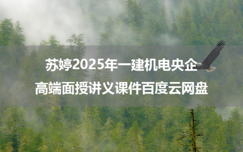 苏婷2025年一建机电央企高端面授讲义课件百度云网盘