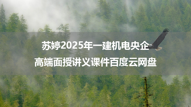 苏婷2025年一建机电央企高端面授讲义课件百度云网盘