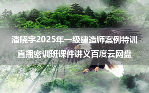 潘晓宇2025年一级建造师案例特训+直播密训班课件讲义百度云网盘