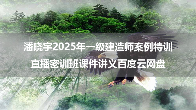 潘晓宇2025年一级建造师案例特训+直播密训班课件讲义百度云网盘