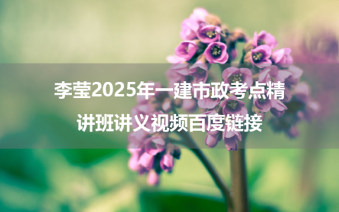 李莹2025年一建市政考点精讲班讲义视频百度链接