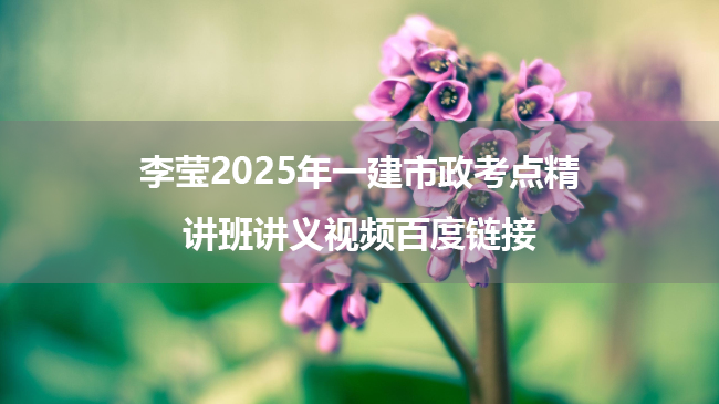 李莹2025年一建市政考点精讲班讲义视频百度链接