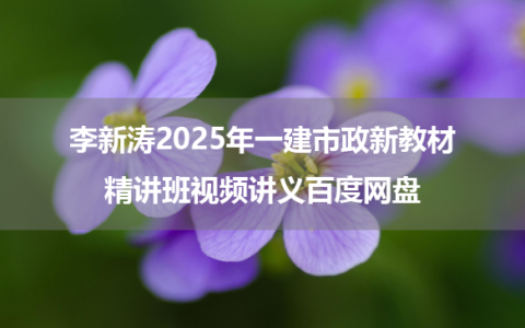 李新涛2025年一建市政新教材精讲班视频讲义百度网盘
