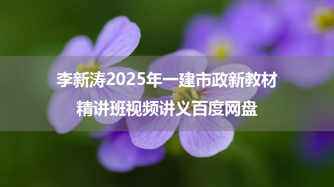 李新涛2025年一建市政新教材精讲班视频讲义百度网盘