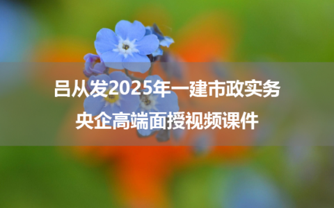 吕从发2025年一建市政实务央企高端面授视频课件