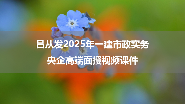 吕从发2025年一建市政实务央企高端面授视频课件