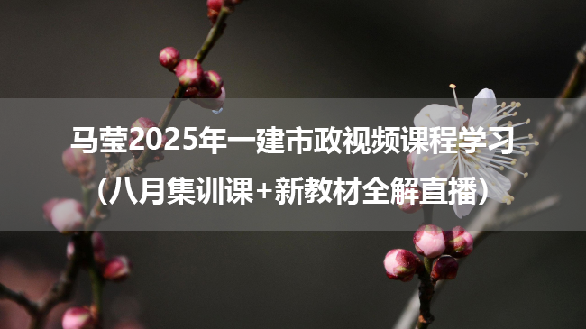 马莹2025年一建市政视频课程学习（八月集训课+新教材全解直播）