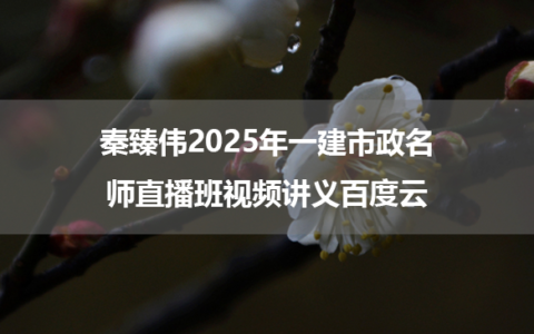 秦臻伟2025年一建市政名师直播班视频讲义百度云