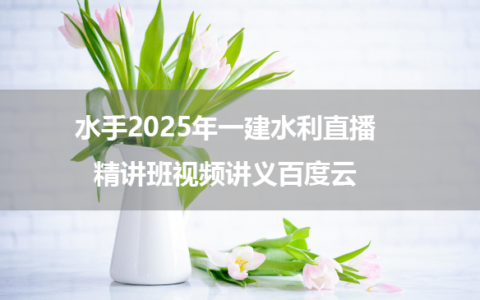 水手2025年一建水利直播精讲班视频讲义百度云