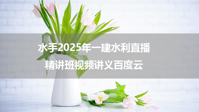 水手2025年一建水利直播精讲班视频讲义百度云