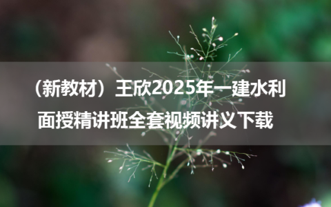 （新教材）王欣2025年一建水利面授精讲班全套视频讲义下载