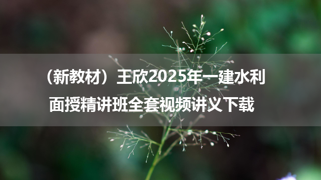 （新教材）王欣2025年一建水利面授精讲班全套视频讲义下载